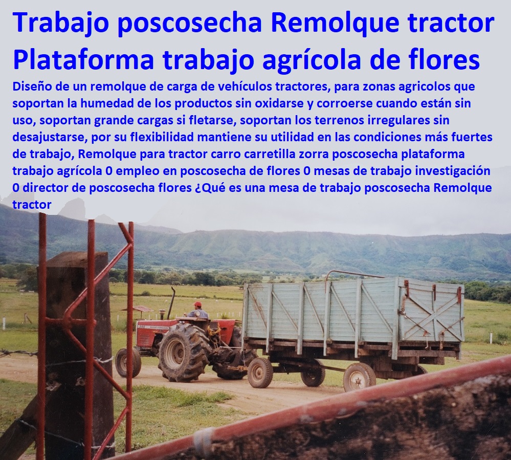 Remolque Zorra para Vehículos Trailer ganadero carreta remolque para tractor 0 mini remolques trailer zorras 0 comederos rústicos para ganado 0 saladero al árbol o poste 0 bebederos de agua para ganado 0 saladeros o saleros Remolque Plaza Toros, Brete Ganadero, Apretaderos Embarcaderos, Postes Tablas, Corral Caballerizas, Polines Varetas, Mangas De Coleo, Horcones Madera Plástica, Corrales, Establos De Ganado, Mangas De Coleo, Pesebreras De Caballos, Zorra Remolque Zorra para Vehículos Trailer ganadero carreta remolque para tractor 0 mini remolques trailer zorras 0 comederos rústicos para ganado 0 saladero al árbol o poste 0 bebederos de agua para ganado 0 saladeros o saleros Remolque Zorra